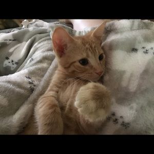 Meet your Posher, Terrie